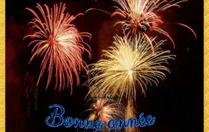 bonne année 